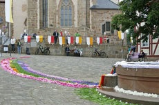 Bluemteppich auf dem Naumburegr Marktplatz (Foto: Karl-Franz Thiede)